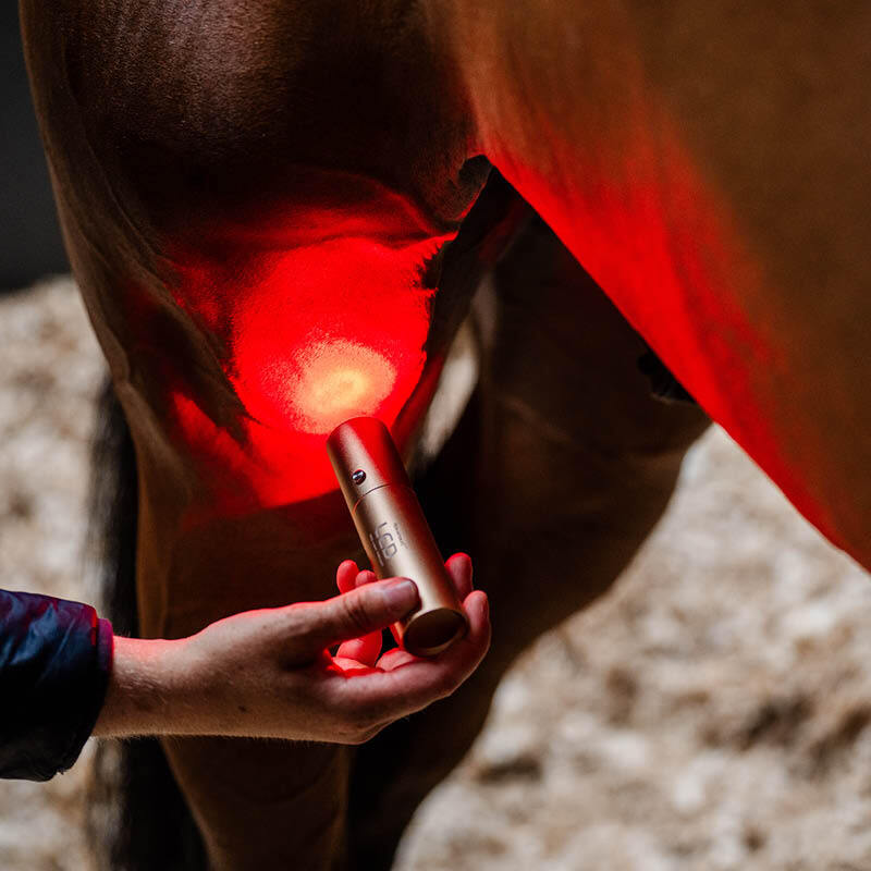 Infrared & Light Therapy