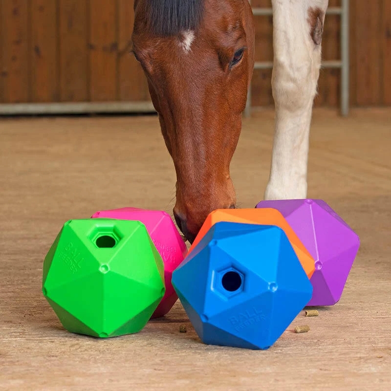 Stable Toys, Treats & Enrichment