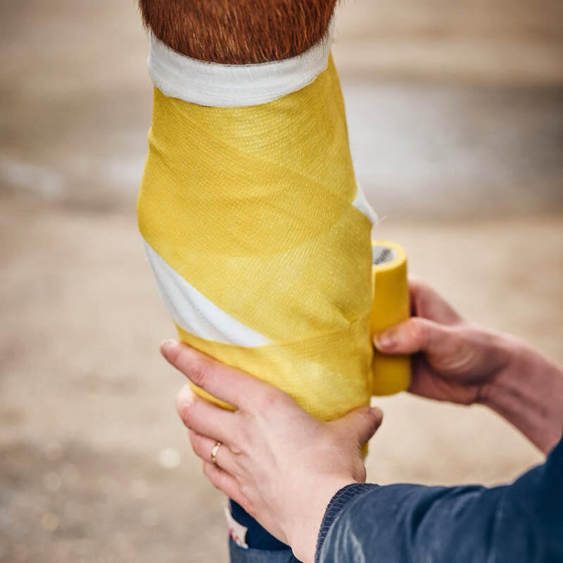 Bandages, Vet Wraps & Dressings