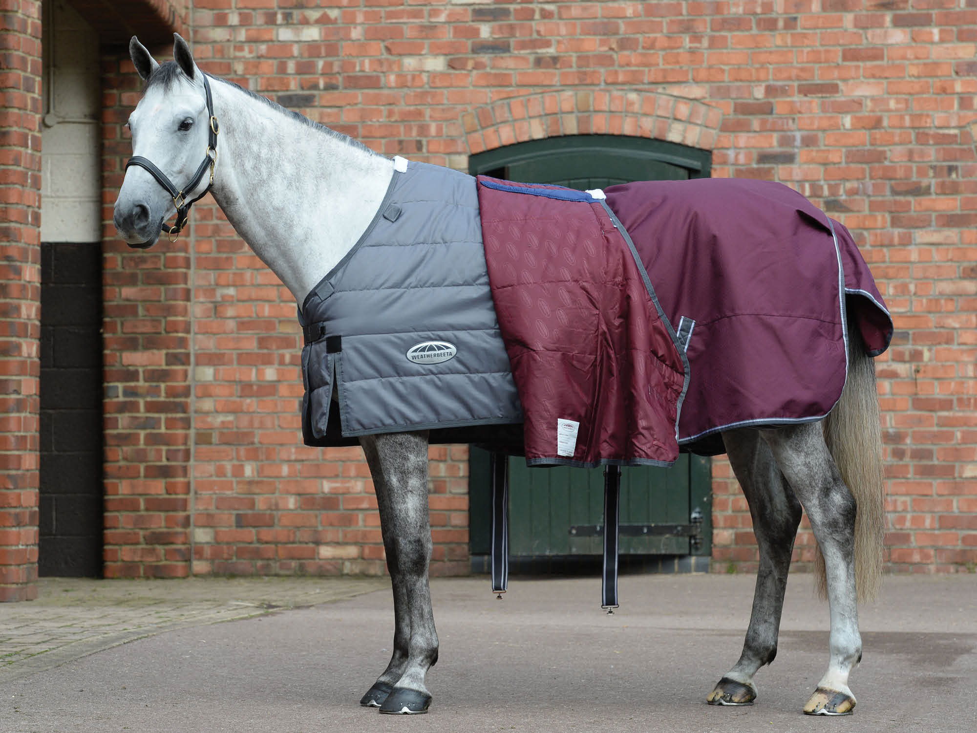 Horse Rugs