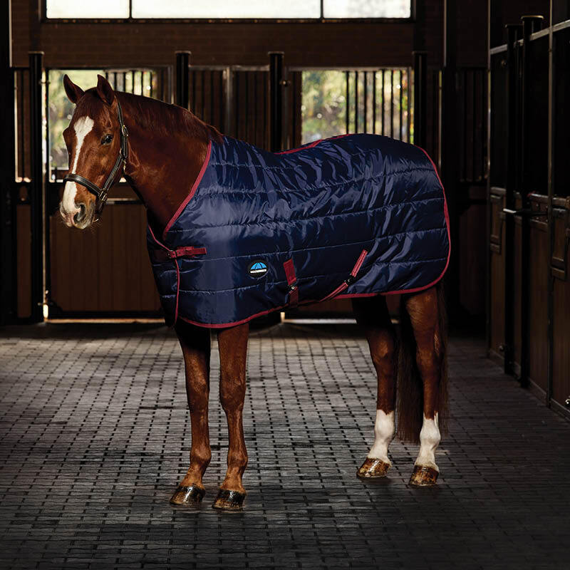 Lightweight Stable Rugs