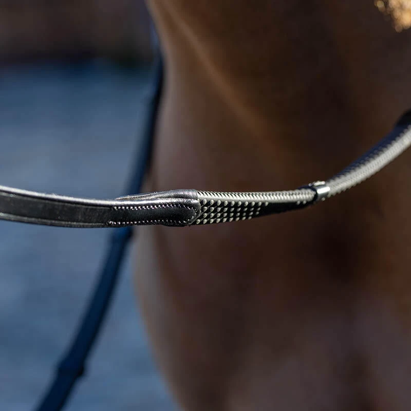 Reins & Balance Straps