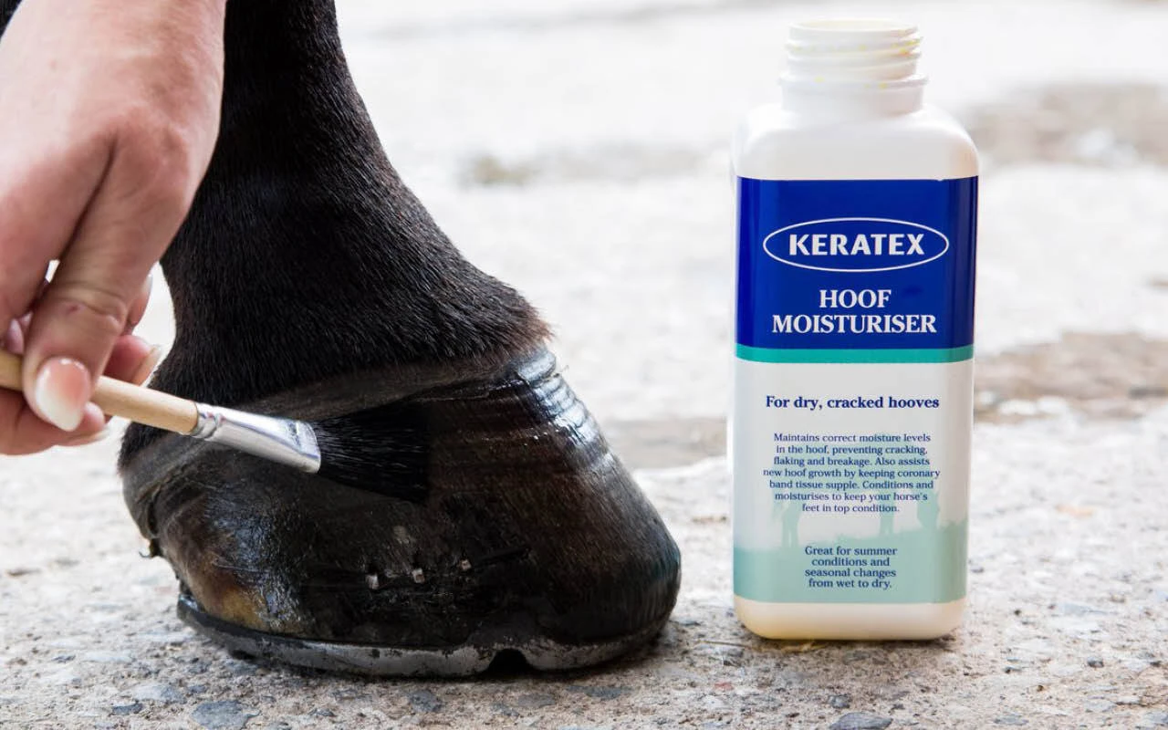Hoof Care