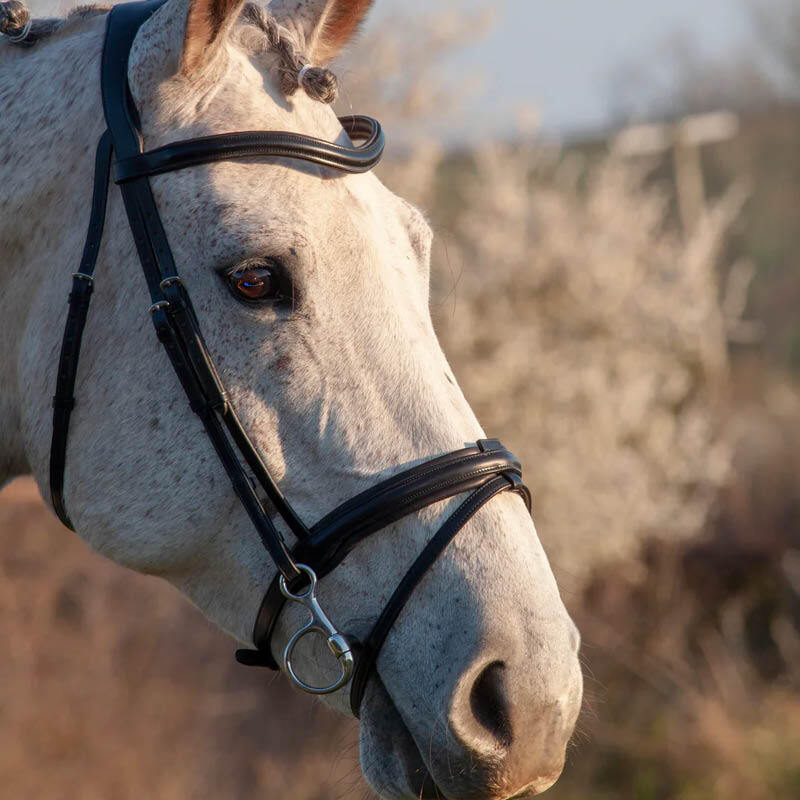 Bridles