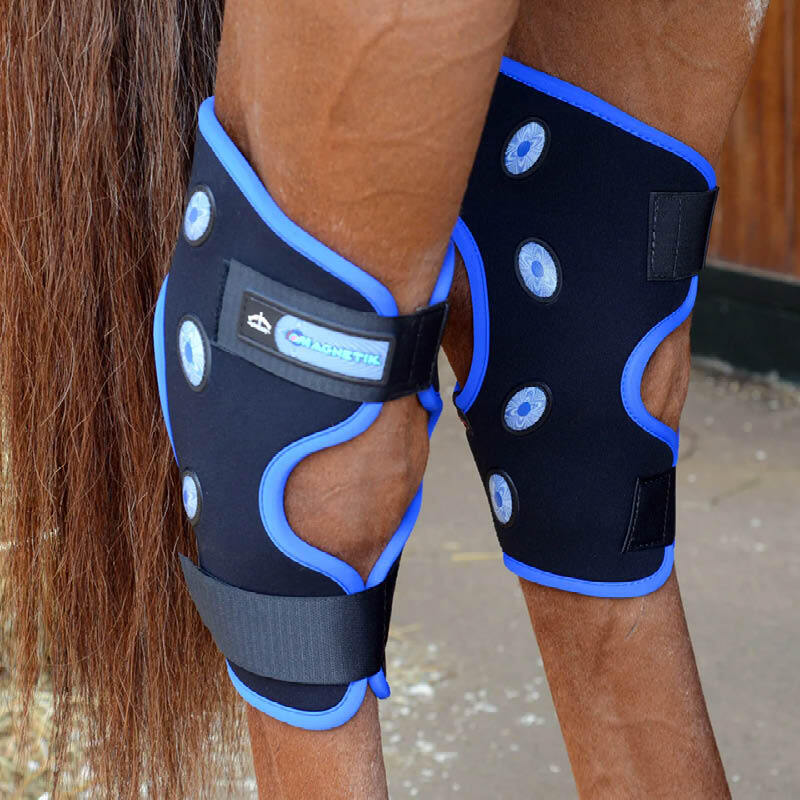 Heat & Magnetic Therapy