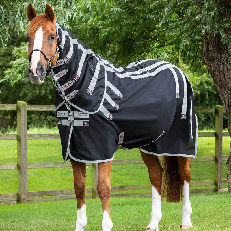 Therapy Rugs & Pads