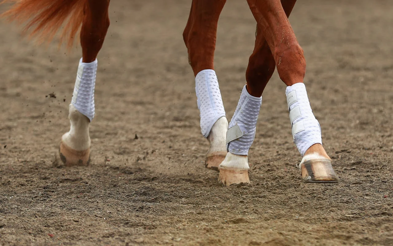 Wraps & Support Boots