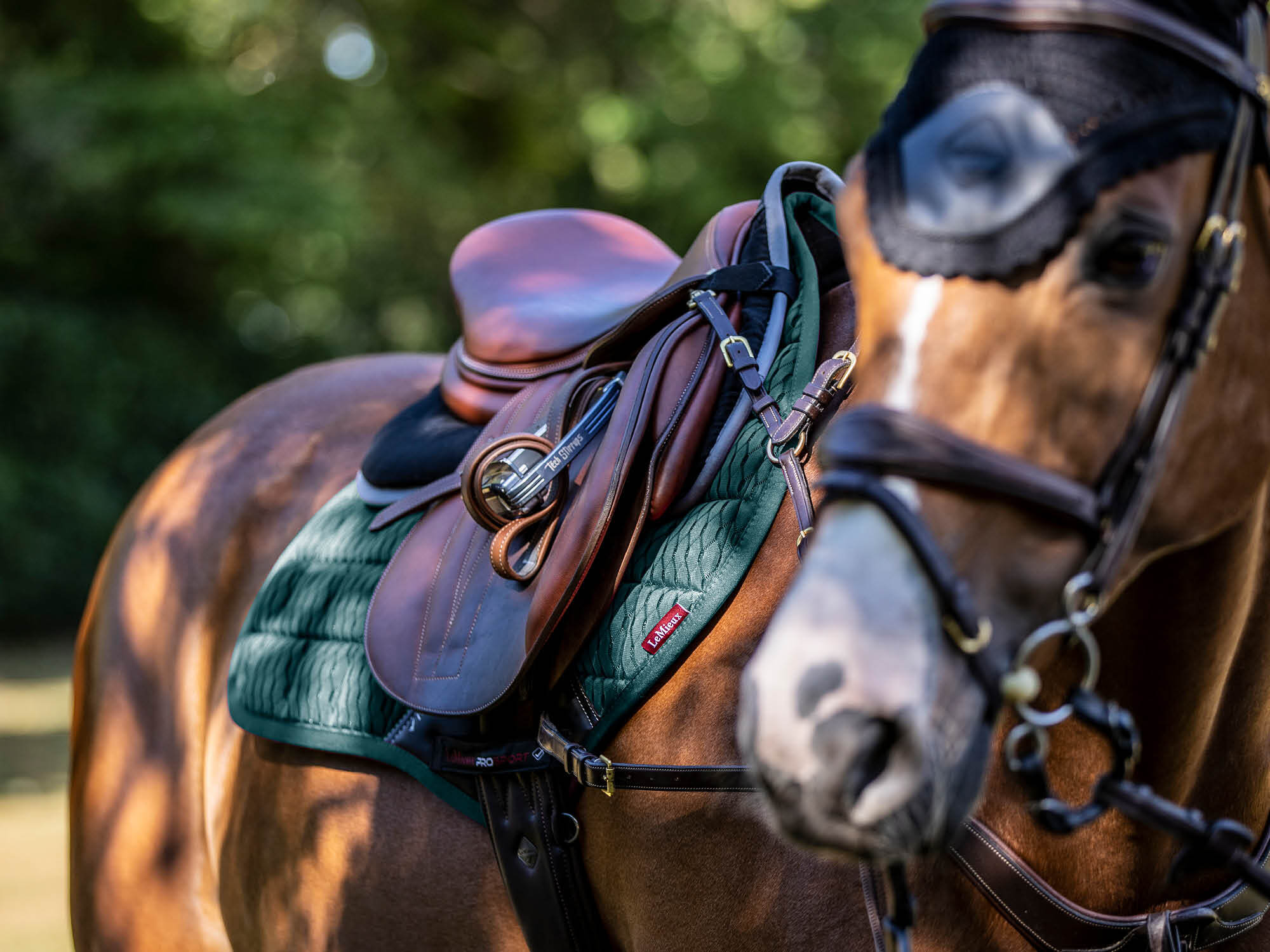 Tack & Saddlery