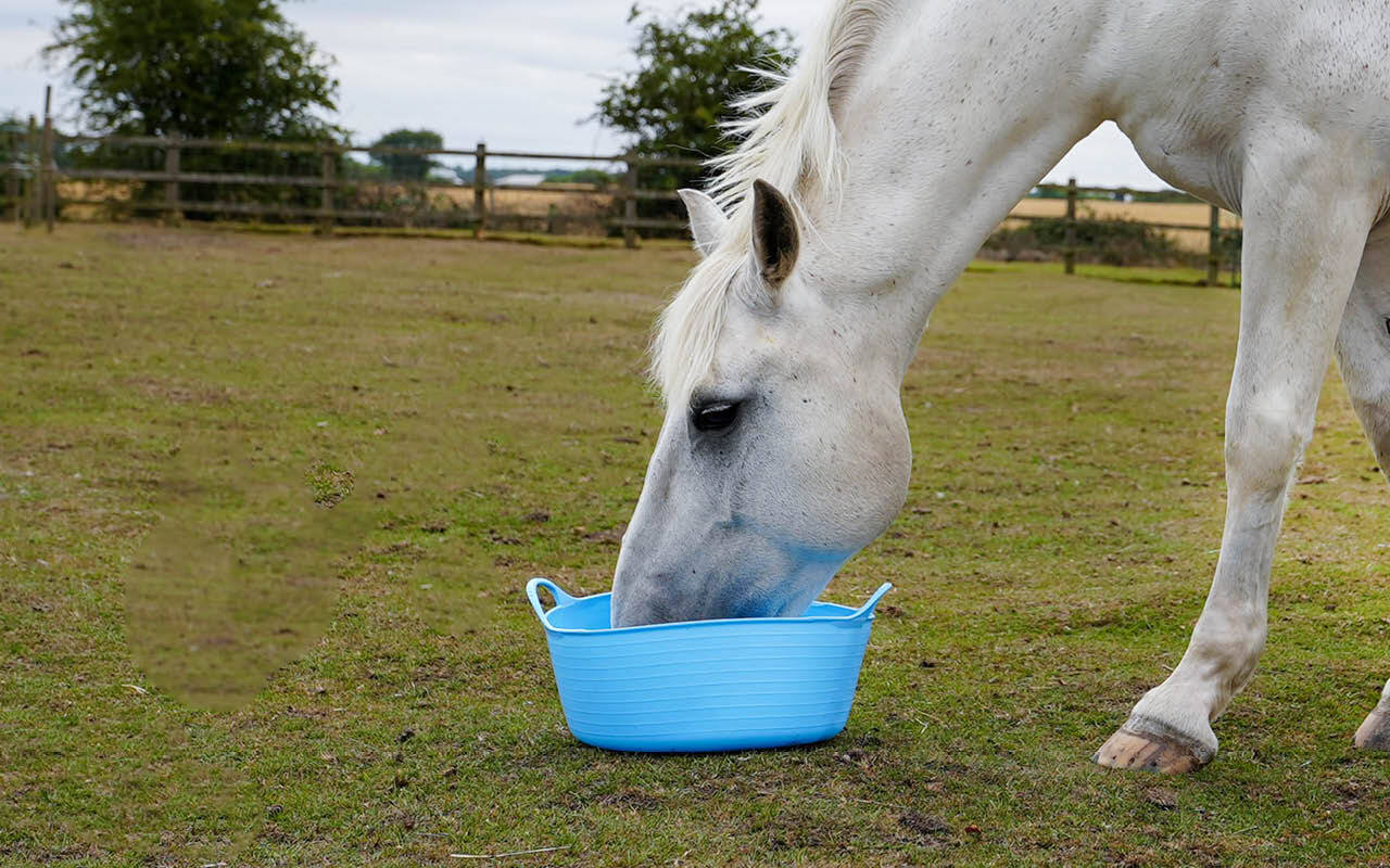 Buckets, Trugs & Feed Bowls
