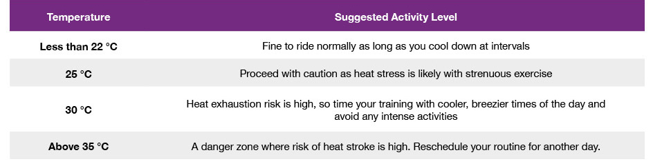 Horse Activity Level Chart in Temperatures