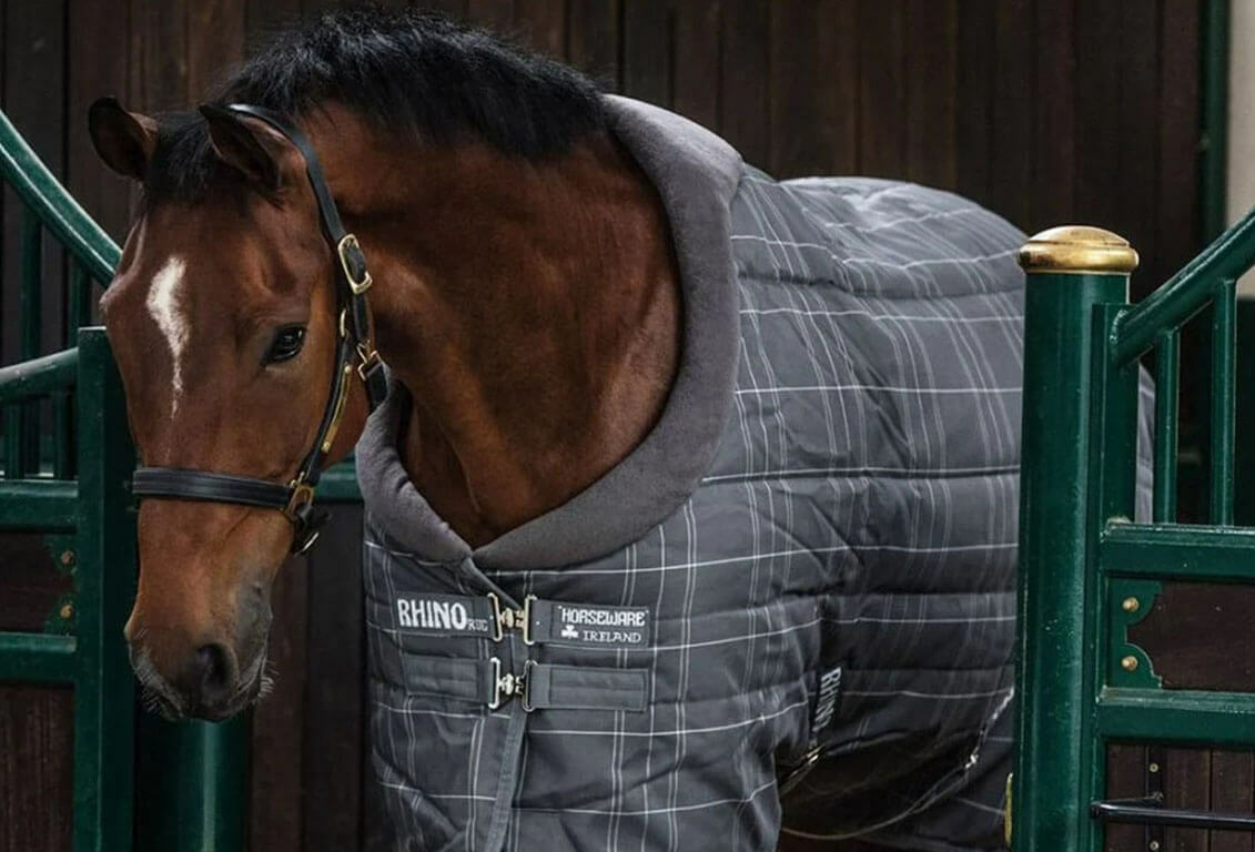 Horse Stable Rug