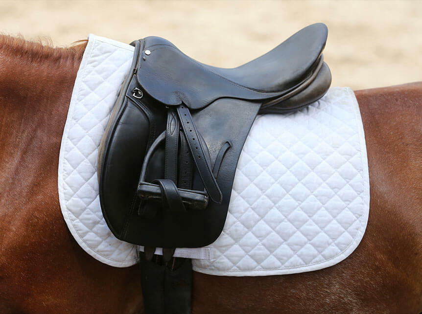 Horse Saddle Pad