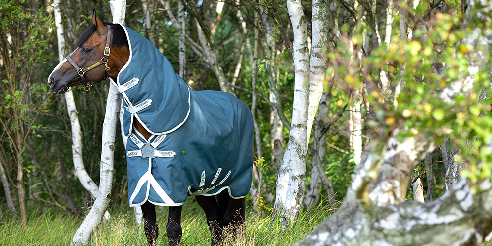 Horseware Amigo AmEco Bravo 12 Plus Turnout 100g Horseware Amigo AmEco Bravo 12 Plus Turnout 100g