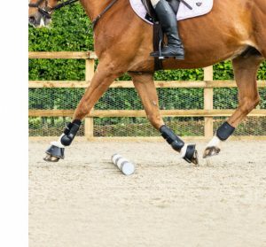 Review of woof wear tendon boots