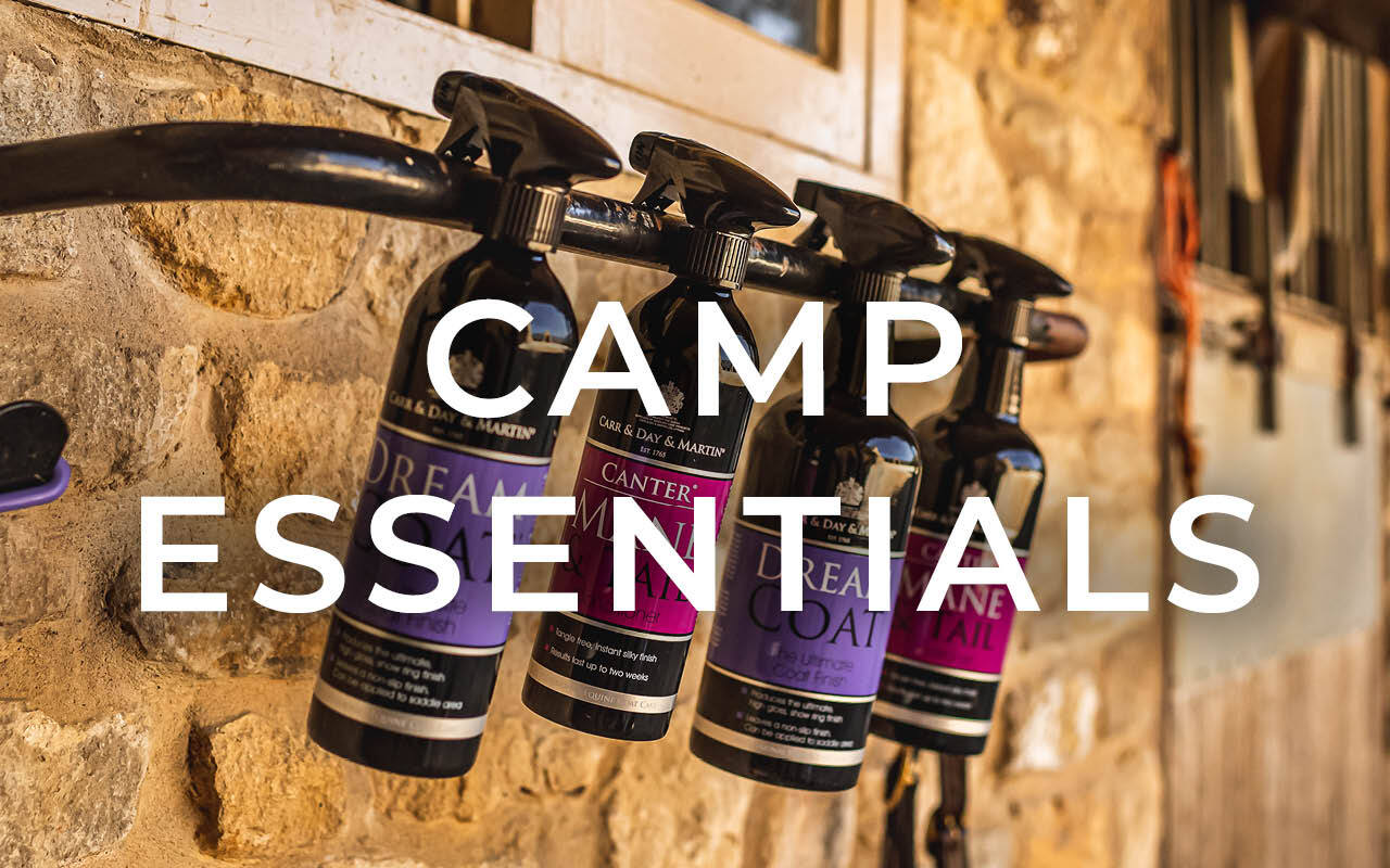 https://cdn11.bigcommerce.com/s-fdy9piqmxg/images/stencil/original/image-manager/camp-essentials.jpg?t=1720539238