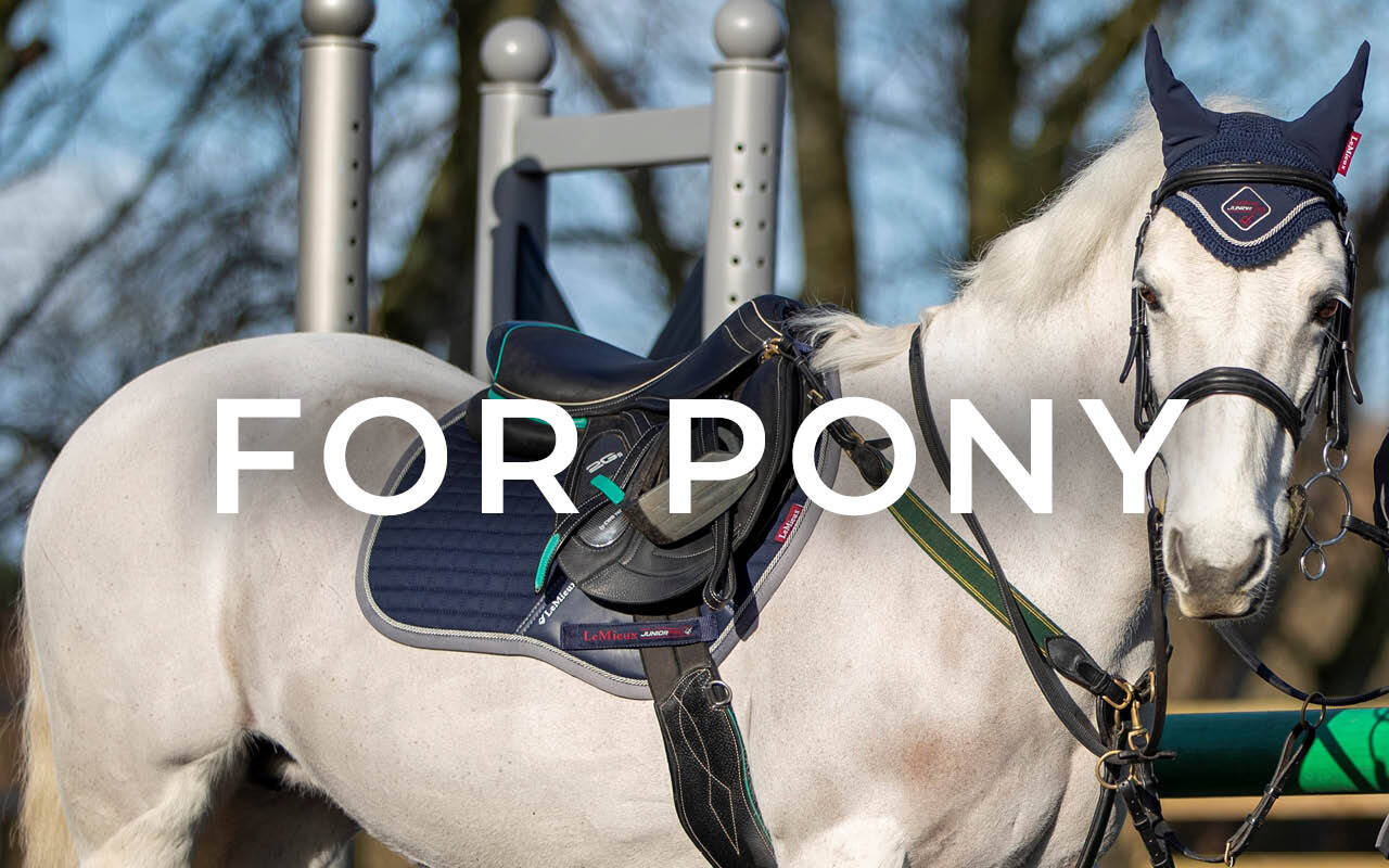 https://cdn11.bigcommerce.com/s-fdy9piqmxg/images/stencil/original/image-manager/for-pony.jpg?t=1720539265