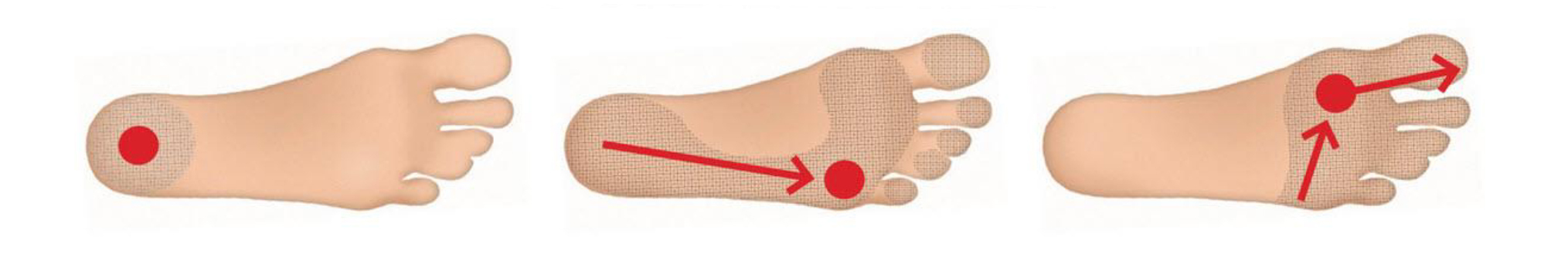Heel Toe Footwear Diagram