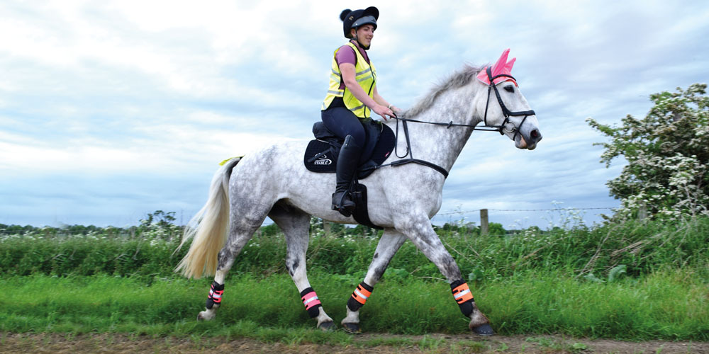 Female horse rider with different coloured high-visibility on