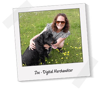 Zoe Digital Merchandiser