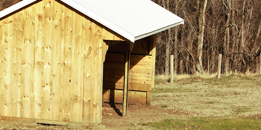 Wooden Horse Stable in the Afternoon Sun