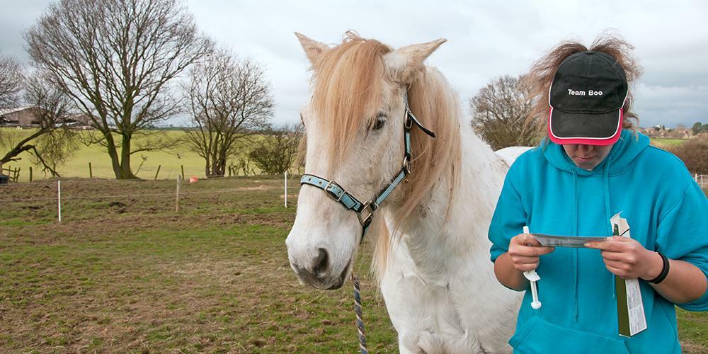 Owner reading the instructions before administering a wormer to her horse