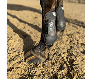 Best Schooling Boot Eskadron Flexisoft Tendon Boots