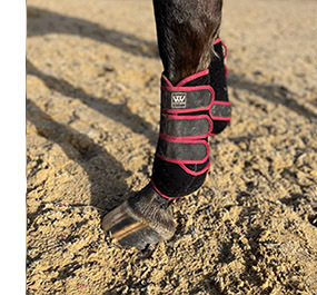 Best Schooling Boot Woof Wear Training Wrap