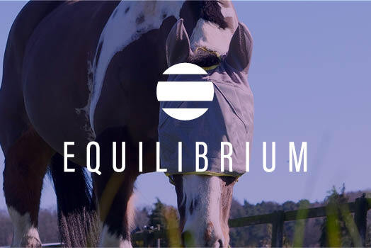 Equilibrium logo