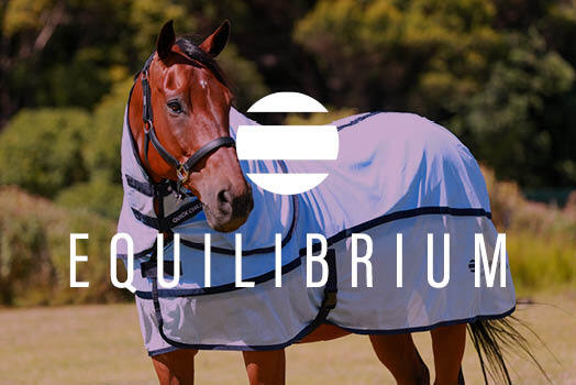 Equlibrium