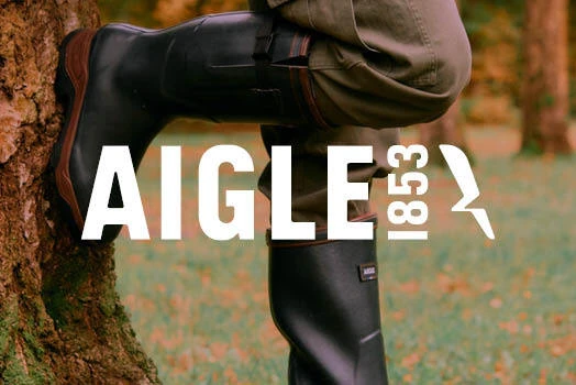 Aigle