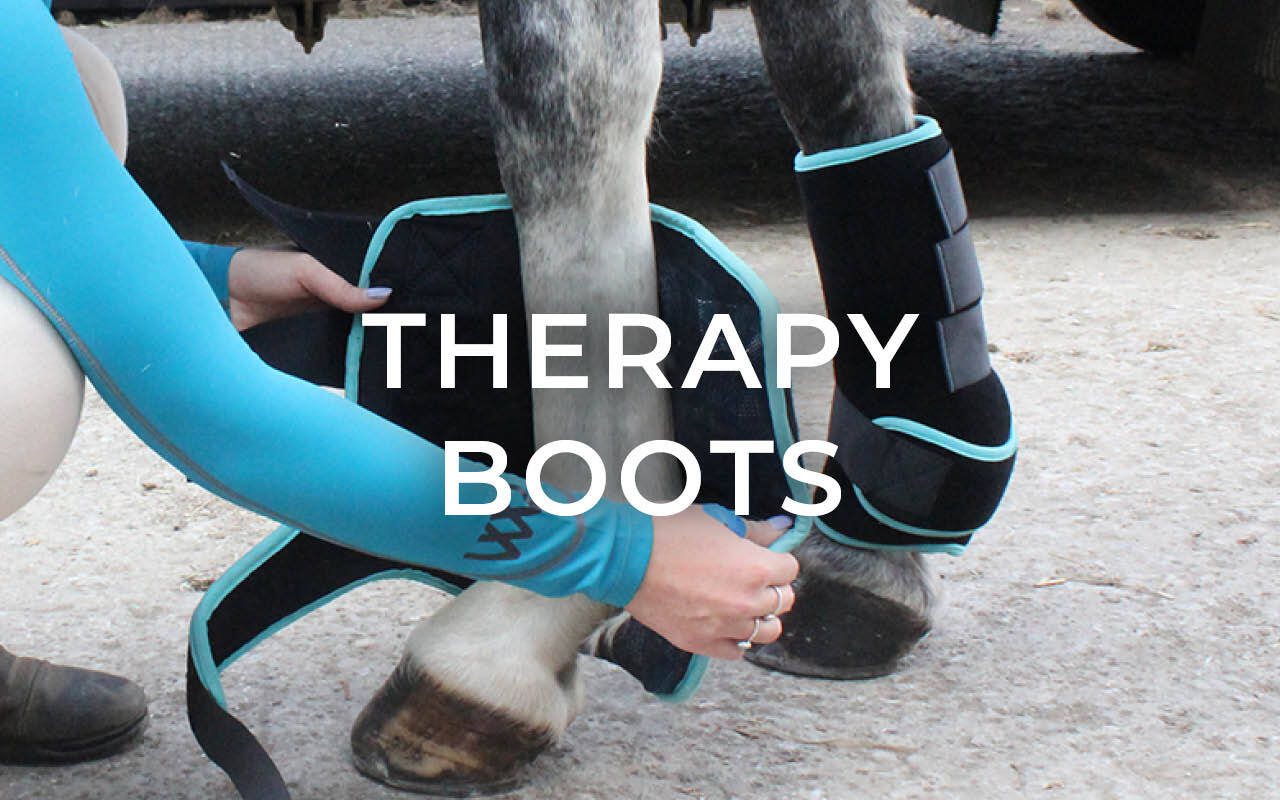 https://cdn11.bigcommerce.com/s-fdy9piqmxg/images/stencil/original/image-manager/uk-horse-bootsbandages-category-tiles-06.jpg?t=1724856769