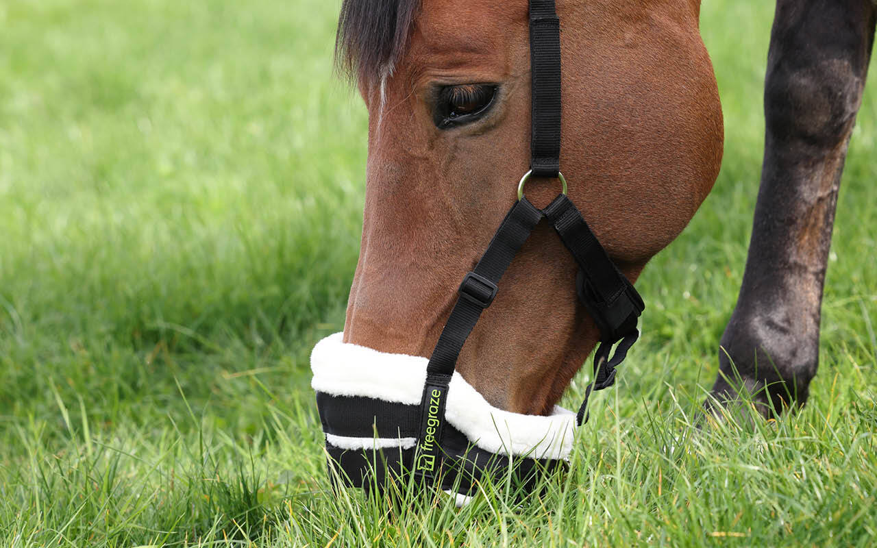 https://cdn11.bigcommerce.com/s-fdy9piqmxg/images/stencil/original/image-manager/uk-horse-category-tiles-apr253.jpg?t=1743173772