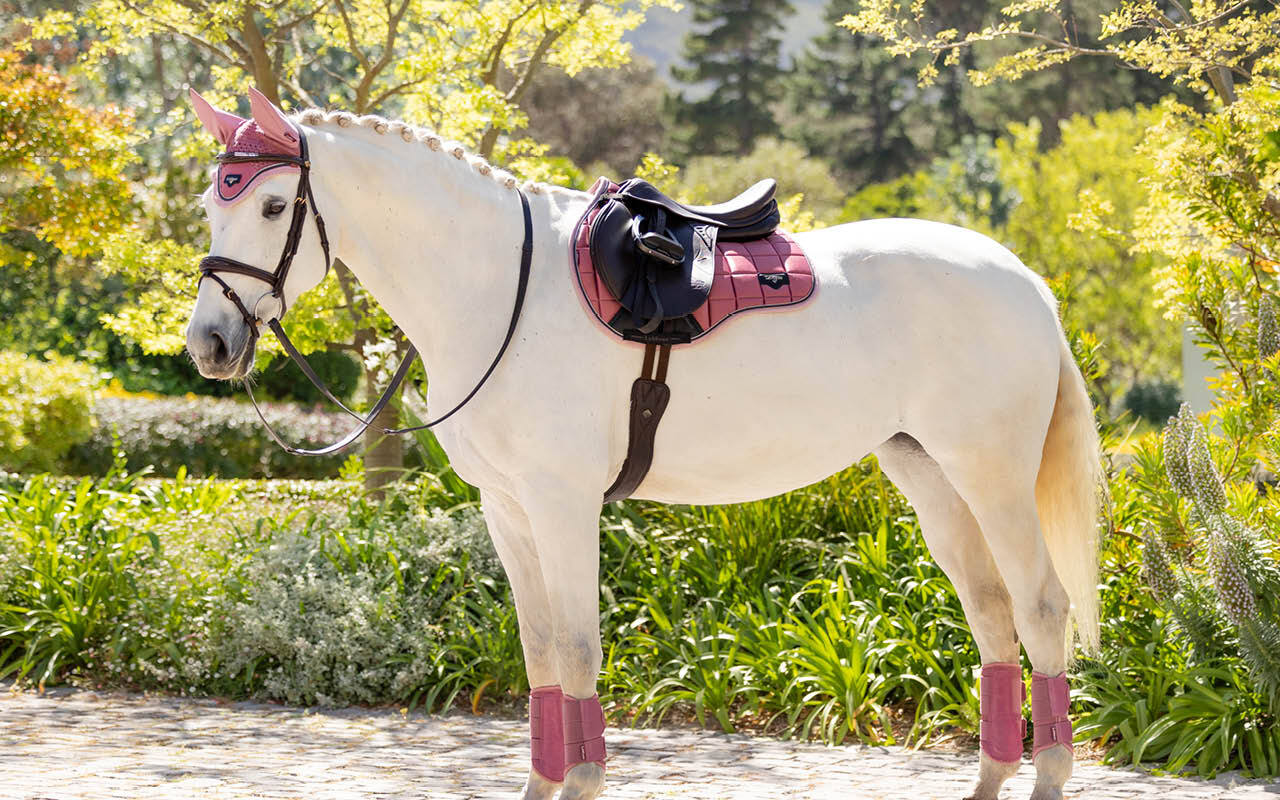 https://cdn11.bigcommerce.com/s-fdy9piqmxg/images/stencil/original/image-manager/uk-horse-category-tiles-apr254.jpg?t=1743173783