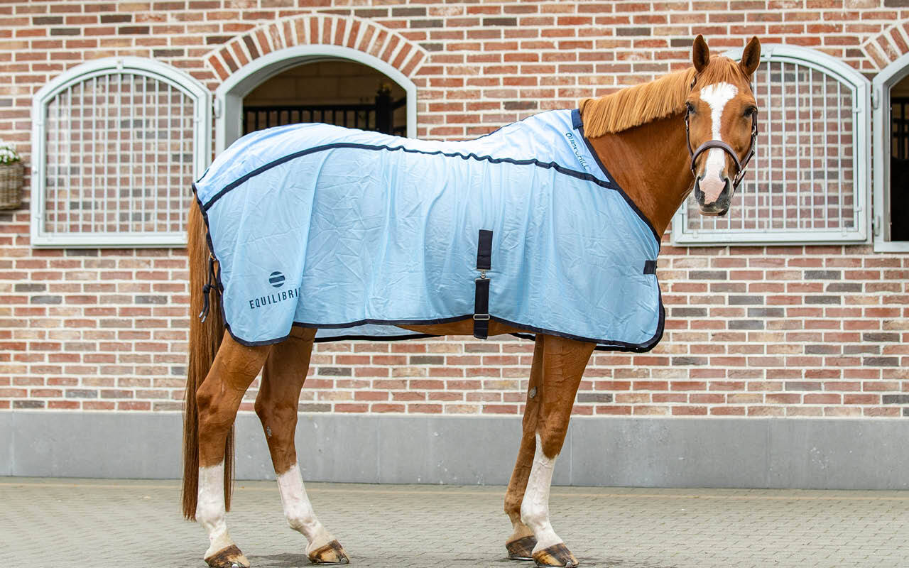 https://cdn11.bigcommerce.com/s-fdy9piqmxg/images/stencil/original/image-manager/uk-horse-category-tiles-apr262.jpg?t=1776068822