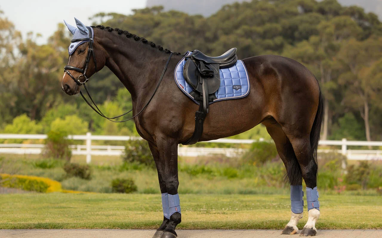 https://cdn11.bigcommerce.com/s-fdy9piqmxg/images/stencil/original/image-manager/uk-horse-category-tiles-apr263.jpg?t=1776068551