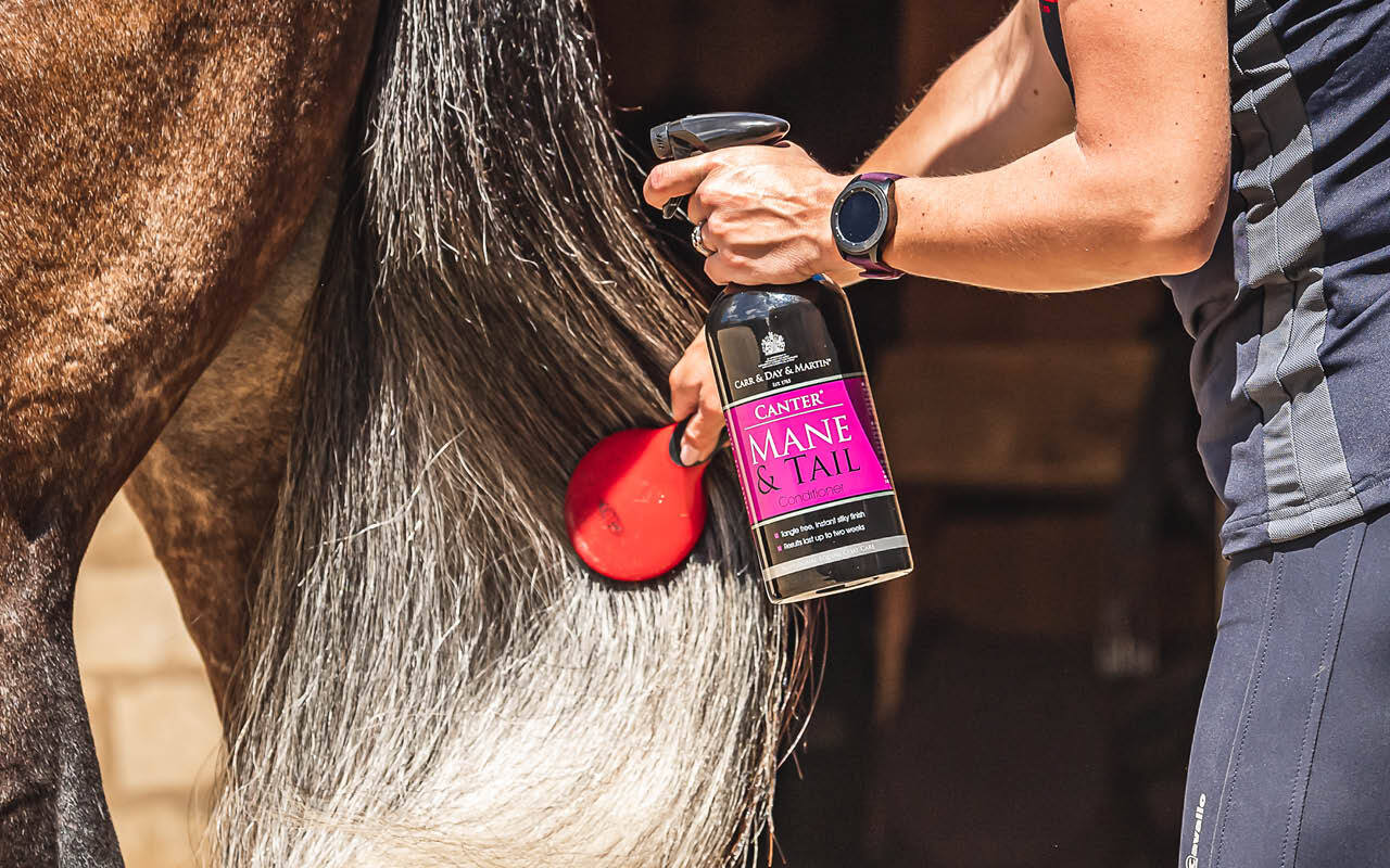 https://cdn11.bigcommerce.com/s-fdy9piqmxg/images/stencil/original/image-manager/uk-horse-category-tiles-apr265.jpg?t=1776068674