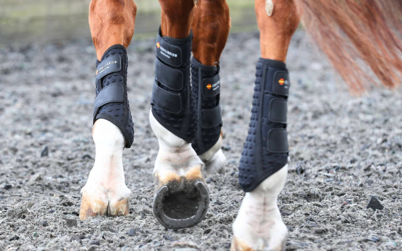 https://cdn11.bigcommerce.com/s-fdy9piqmxg/images/stencil/original/image-manager/uk-horse-category-tiles-boots-bandages.jpg?t=1709012289