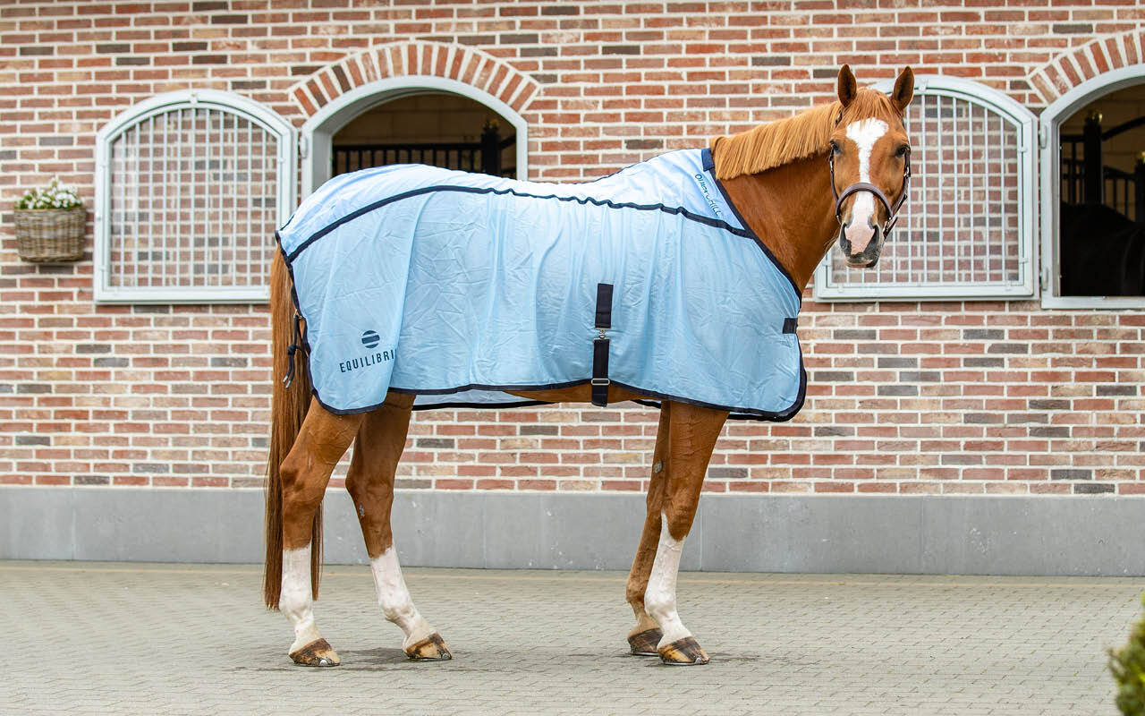 https://cdn11.bigcommerce.com/s-fdy9piqmxg/images/stencil/original/image-manager/uk-horse-category-tiles-may25.jpg?t=1746696934