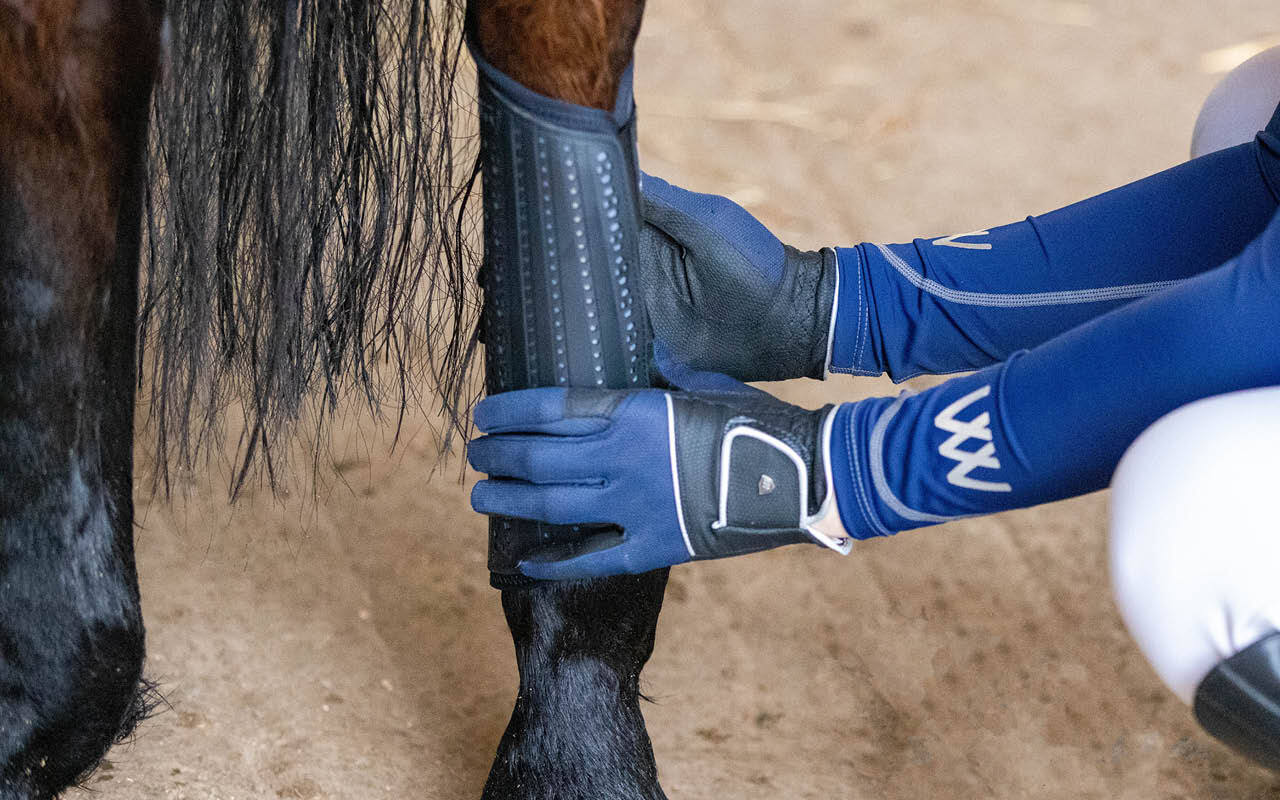 https://cdn11.bigcommerce.com/s-fdy9piqmxg/images/stencil/original/image-manager/uk-horse-category-tiles-may252.jpg?t=1746698104