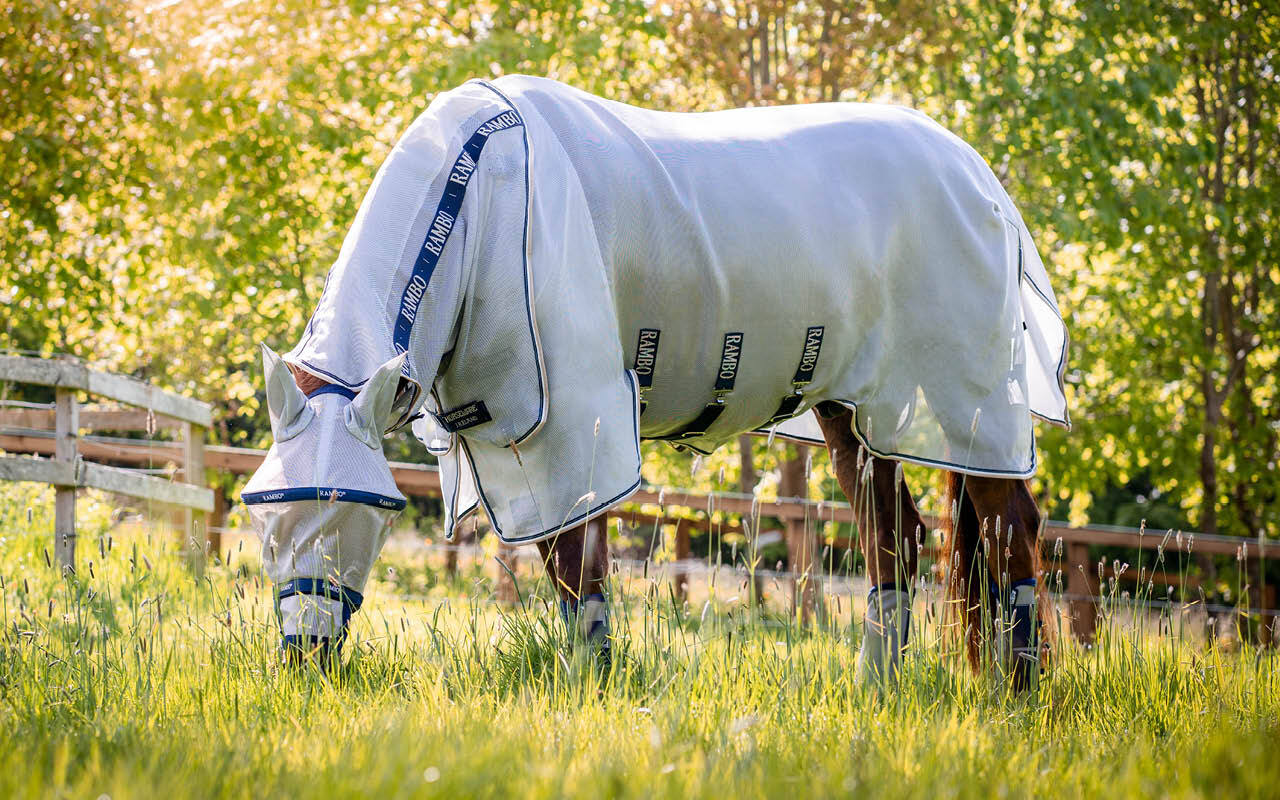 https://cdn11.bigcommerce.com/s-fdy9piqmxg/images/stencil/original/image-manager/uk-horse-category-tiles-may257-new.jpg?t=1746698162
