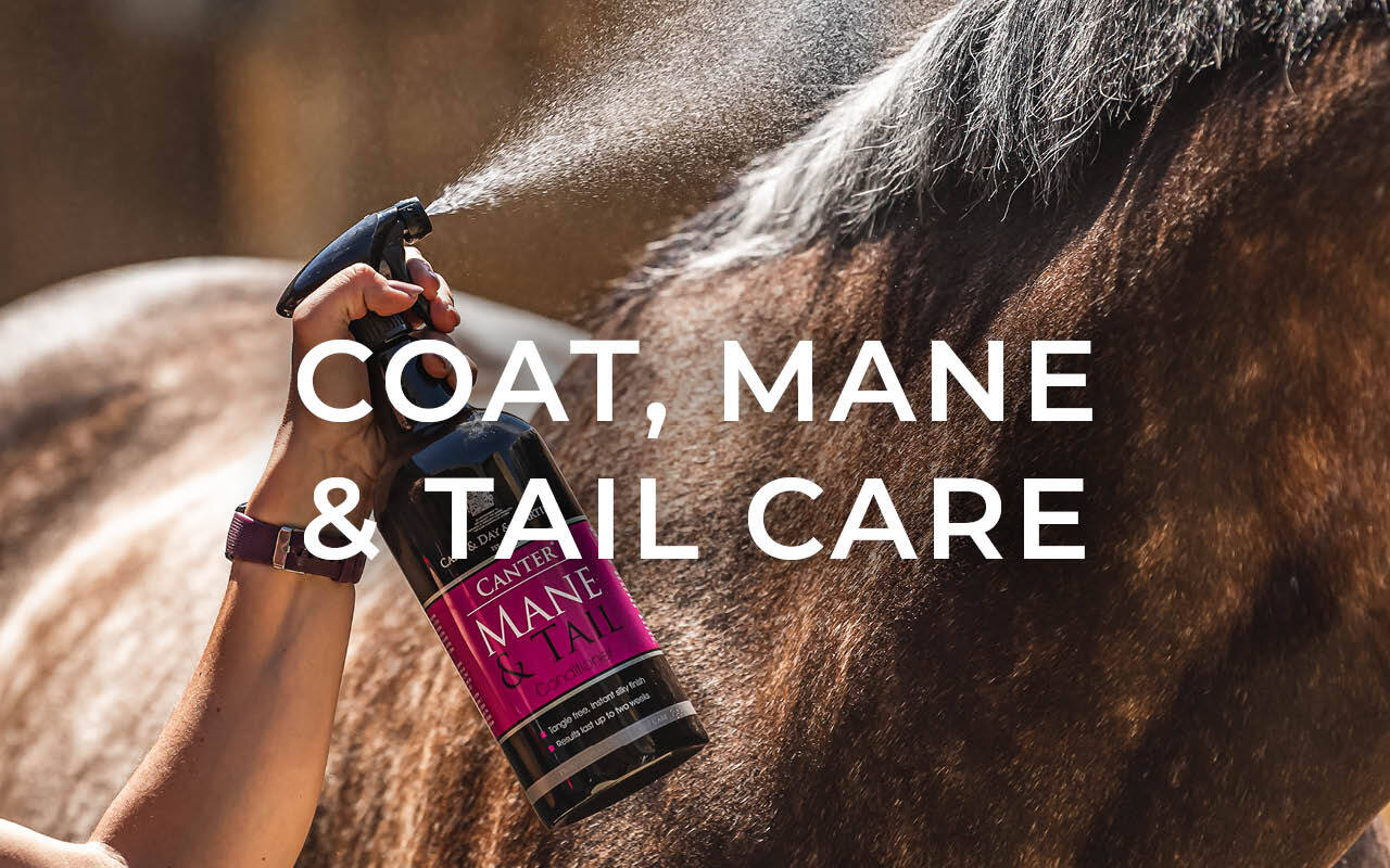 https://cdn11.bigcommerce.com/s-fdy9piqmxg/images/stencil/original/image-manager/uk-horse-grooming-category-tiles-may262.jpg?t=1776854671