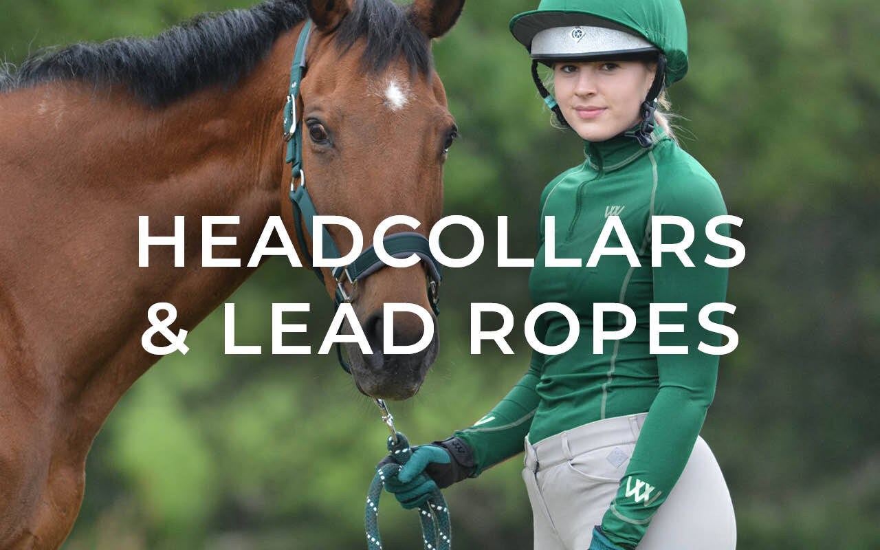 https://cdn11.bigcommerce.com/s-fdy9piqmxg/images/stencil/original/image-manager/uk-horse-horse-wear-category-tiles.jpg?t=1740154842