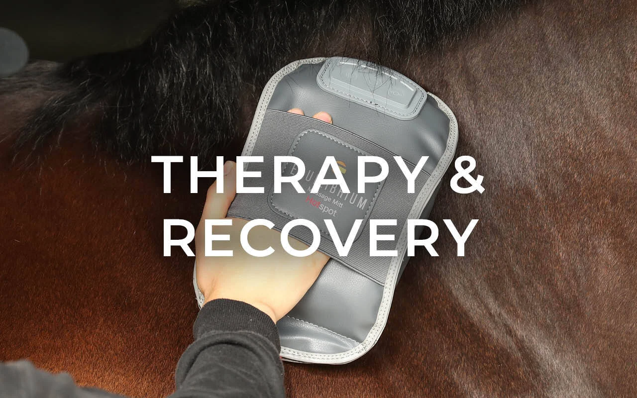 https://cdn11.bigcommerce.com/s-fdy9piqmxg/images/stencil/original/image-manager/uk-horse-horsecare-category-tiles-may264.jpg?t=1776855045
