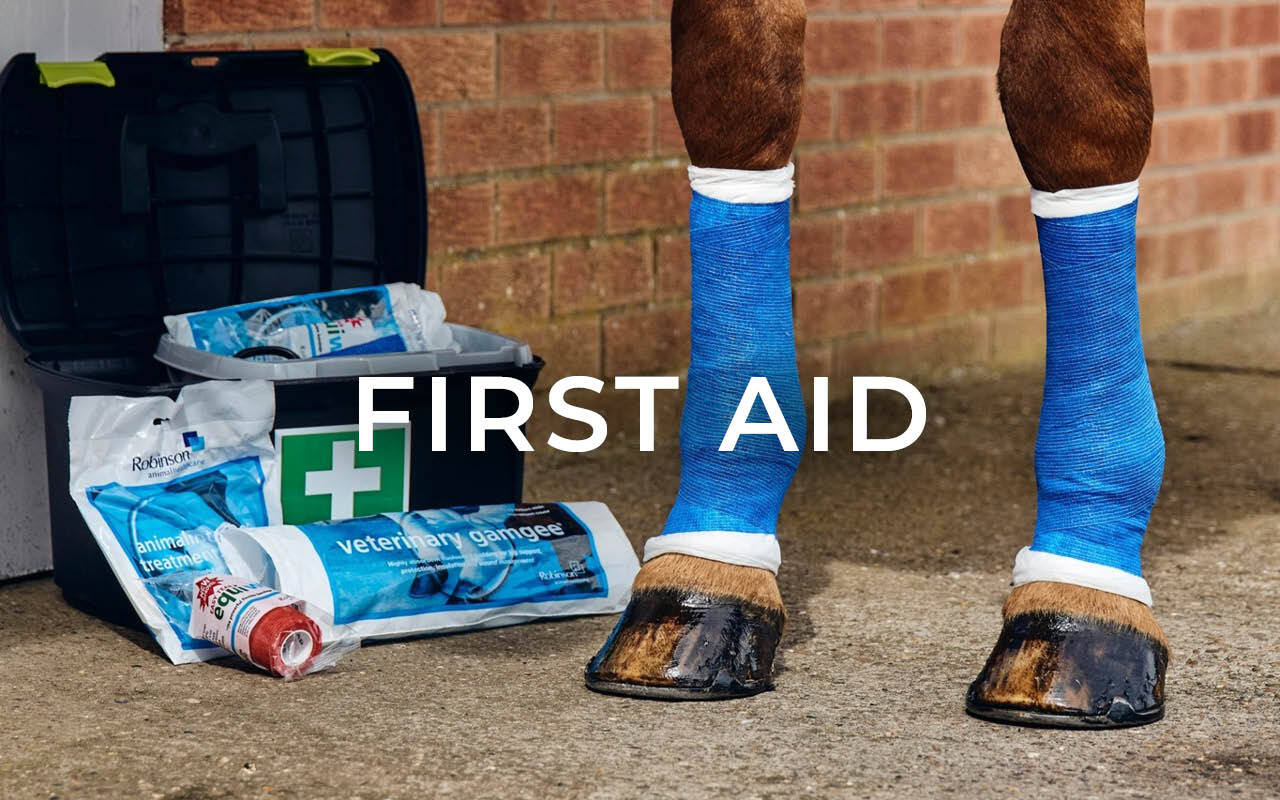 https://cdn11.bigcommerce.com/s-fdy9piqmxg/images/stencil/original/image-manager/uk-horse-horsecare-category-tiles6.jpg?t=1732619529