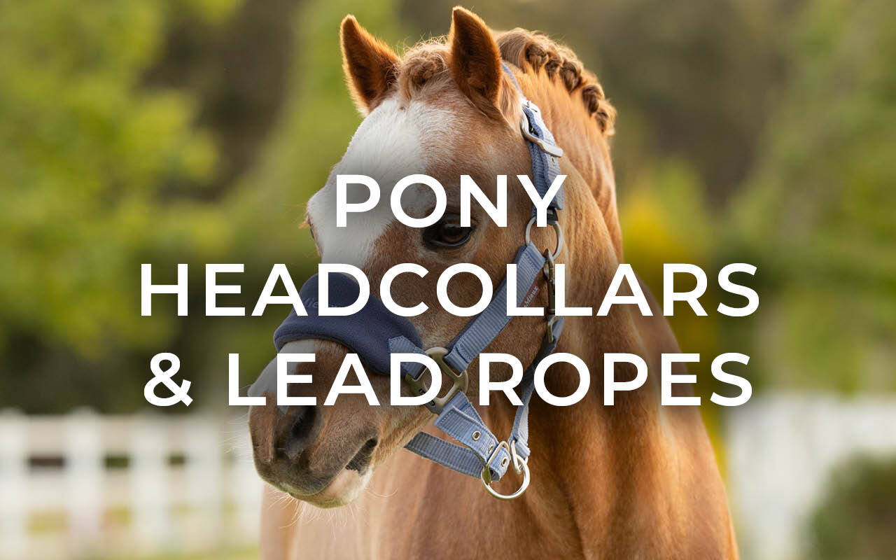 https://cdn11.bigcommerce.com/s-fdy9piqmxg/images/stencil/original/image-manager/uk-horse-pony-category-tiles-may266.jpg?t=1776855279