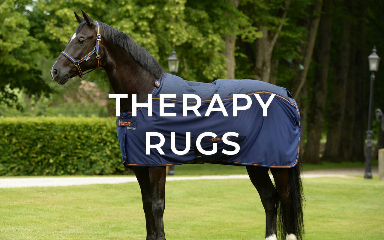 https://cdn11.bigcommerce.com/s-fdy9piqmxg/images/stencil/original/image-manager/uk-horse-rugs-category-tiles-may253.jpg?t=1746700138