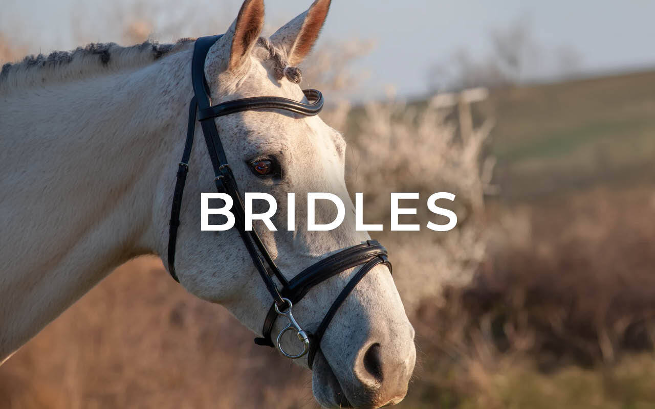 https://cdn11.bigcommerce.com/s-fdy9piqmxg/images/stencil/original/image-manager/uk-horse-tack-saddlery-category-tiles3.jpg?t=1740154464