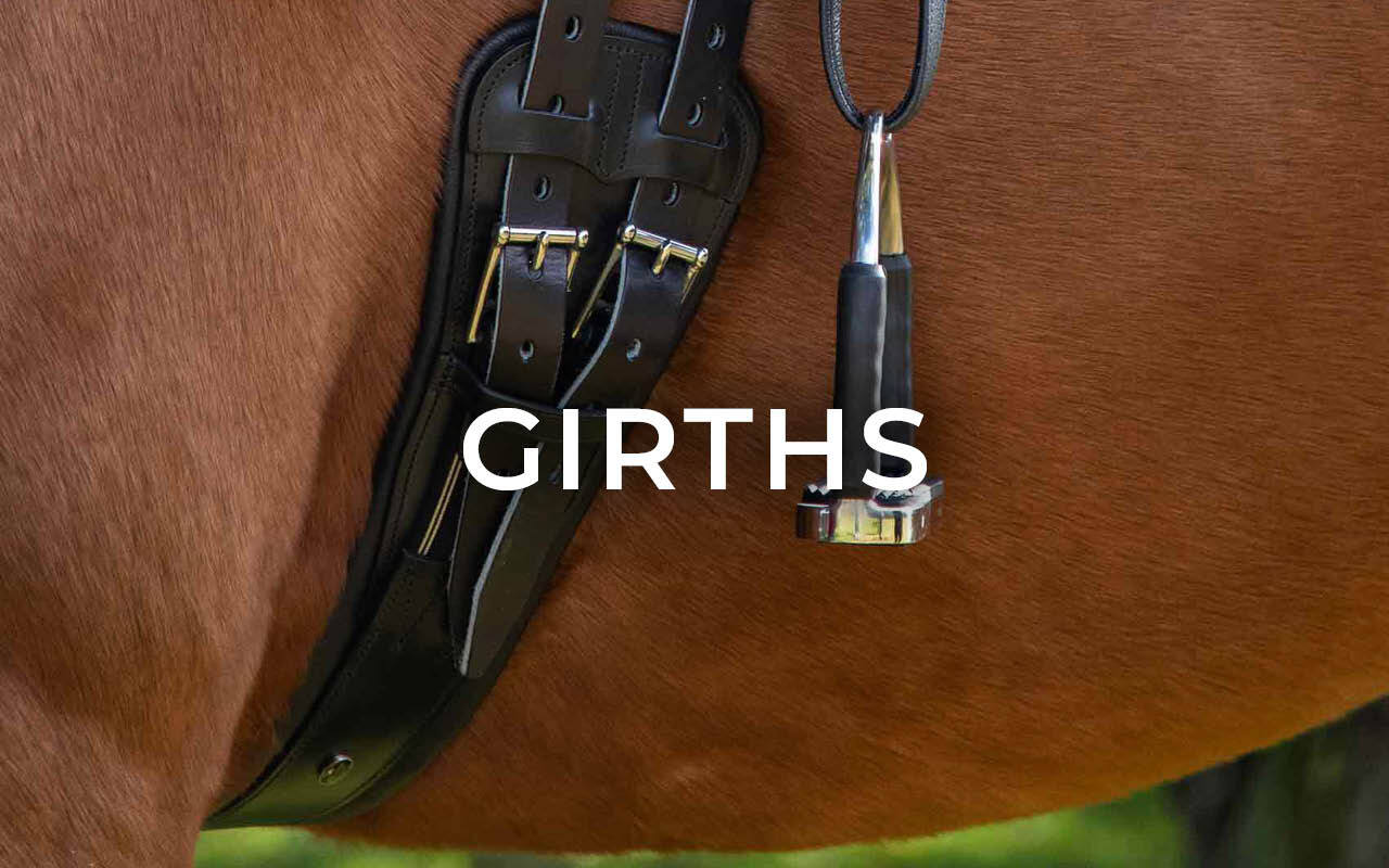 https://cdn11.bigcommerce.com/s-fdy9piqmxg/images/stencil/original/image-manager/uk-horse-tack-saddlery-category-tiles4.jpg?t=1740154484