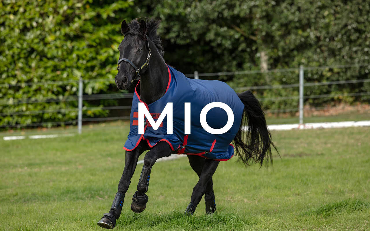 https://cdn11.bigcommerce.com/s-fdy9piqmxg/images/stencil/original/image-manager/uk-horseware-brand-page-tiles4.jpg?t=1734947726