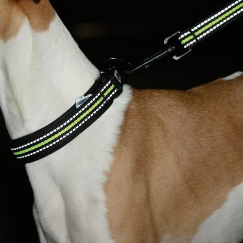 WeatherBeeta Reflective Dog Collar